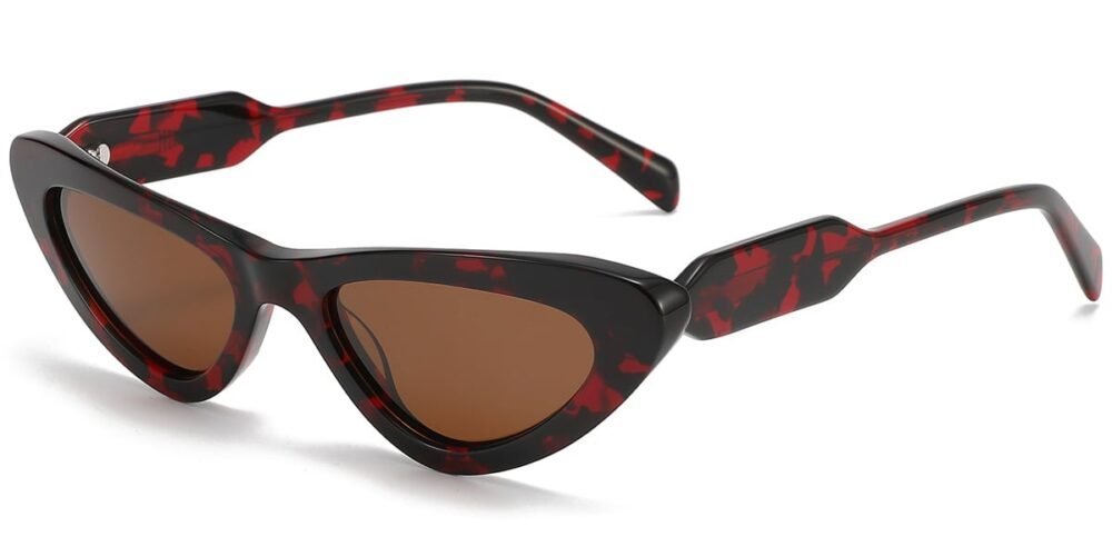 Lunettes de soleil Géométriques en Acétate – LS-1004