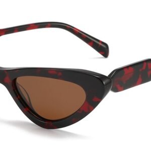 Lunettes de soleil Géométriques en Acétate – LS-1004
