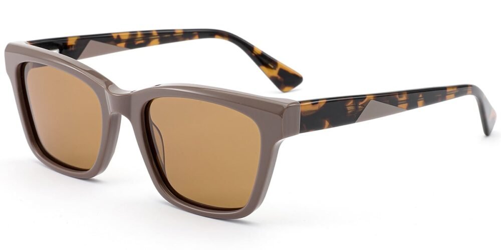 Lunettes de soleil Rectangulaires en Acétate – LS-1009