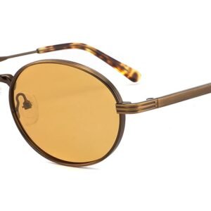 Lunettes de soleil Ovales en Acétate – LS-1058