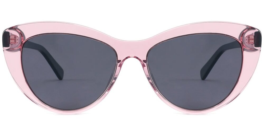 Lunettes de soleil Géométriques en Acétate – LS-1061