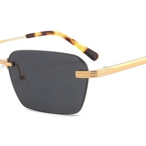 Lunettes de soleil Rectangulaires en Acétate – LS-1100