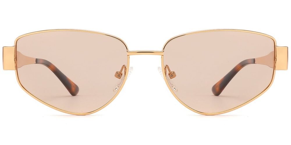 Lunettes de soleil Géométriques en Acétate – LS-1102