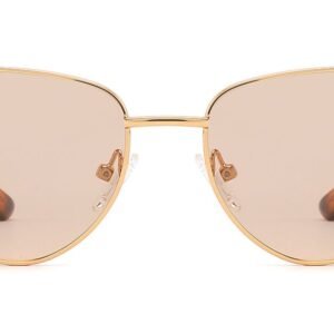 Lunettes de soleil Géométriques en Acétate – LS-1102