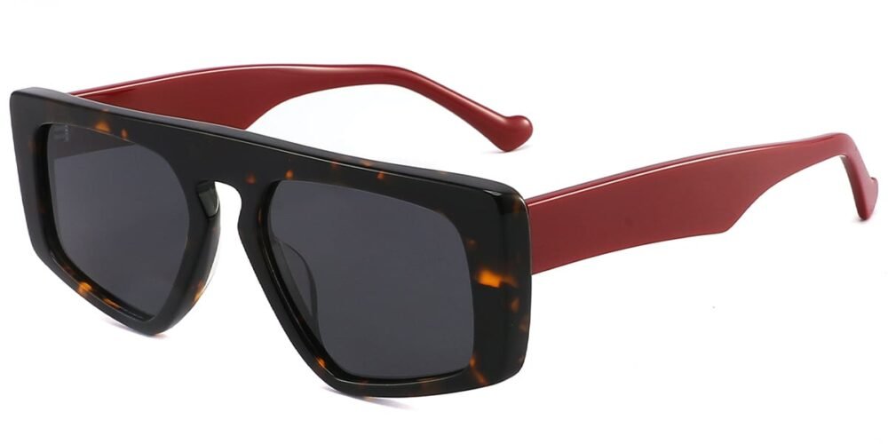 Lunettes de soleil Géométriques en Acétate – LS-1129