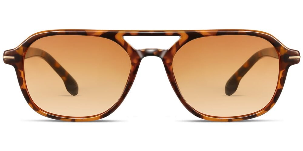 Lunettes de soleil Aviateur en Acétate – LS-1130