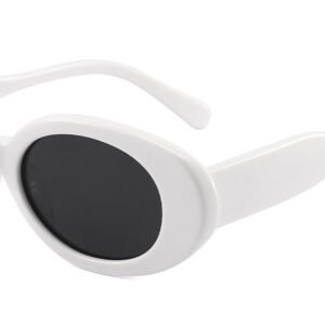 Lunettes de soleil Ovales en Acétate – LS-1140