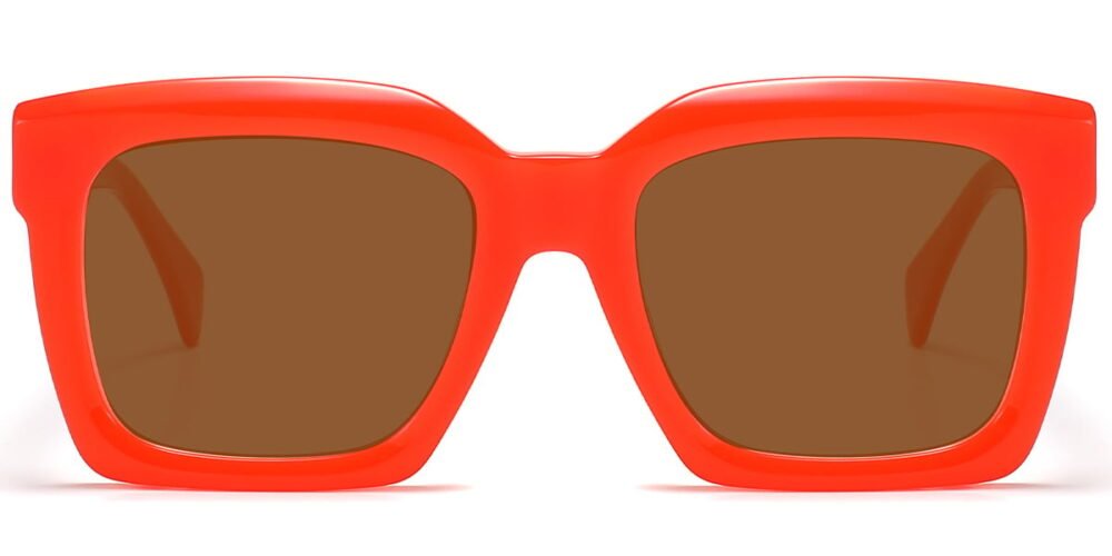 Lunettes de soleil Carrées en Acétate – LS-1169