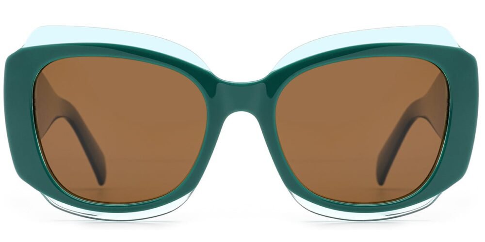 Lunettes de soleil Carrées en Acétate – LS-1185