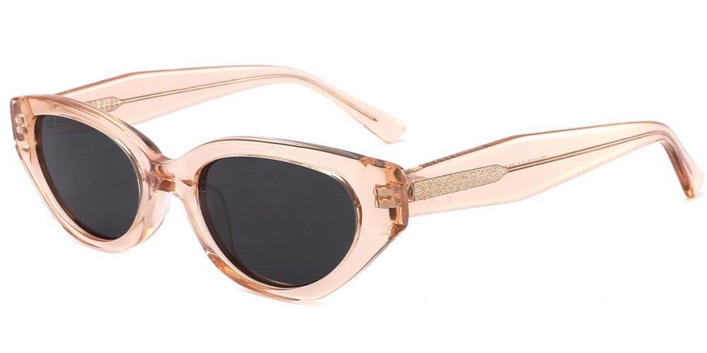 Lunettes de soleil Géométriques en Acétate – LS-1208
