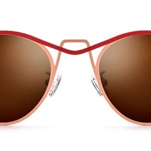 Lunettes de soleil Œil-de-chat en Titane – LS-1238