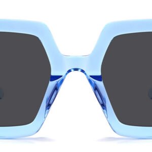 Lunettes de soleil Géométriques en Acétate – LS-1307