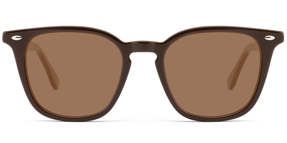 Lunettes de soleil Carrées en Acétate – LS-1330