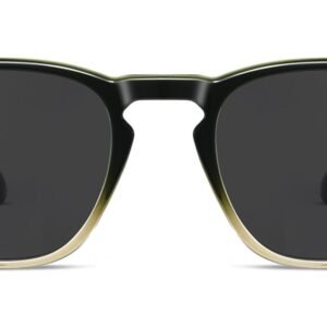 Lunettes de soleil Ovales en Acétate – LS-1377